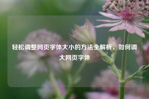 轻松调整网页字体大小的方法全解析,如何调大网页字体