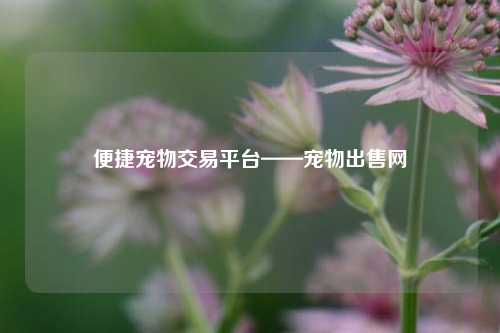 便捷宠物交易平台——宠物出售网