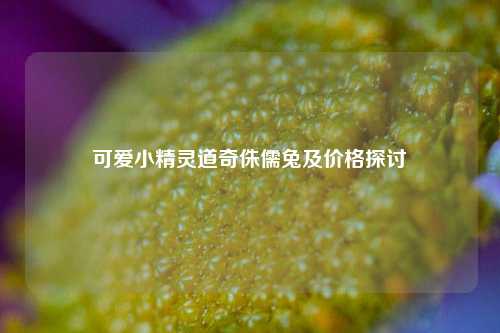 可爱小精灵道奇侏儒兔及价格探讨