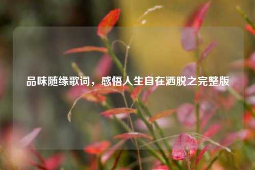 品味随缘歌词，感悟人生自在洒脱之完整版