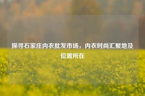 探寻石家庄内衣批发市场,内衣时尚汇聚地及位置所在
