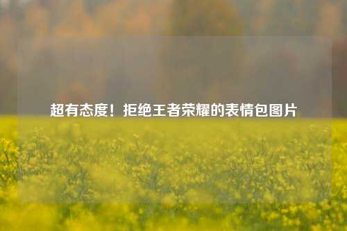 超有态度！拒绝王者荣耀的表情包图片