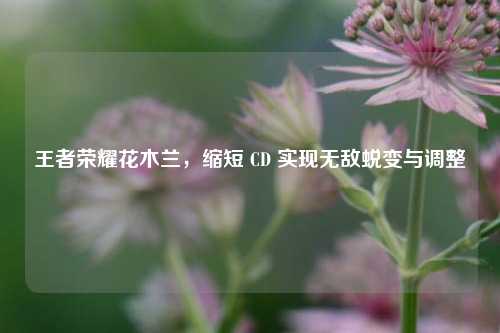 王者荣耀花木兰，缩短 CD 实现无敌蜕变与调整