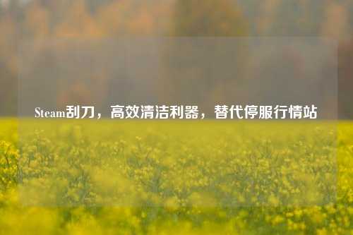 Steam刮刀,高效清洁利器,替代停服行情站