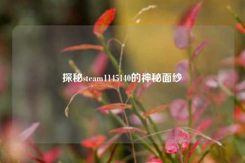 探秘steam1145140的神秘面纱