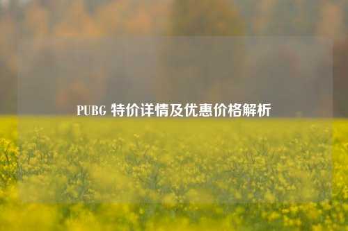 PUBG 特价详情及优惠价格解析