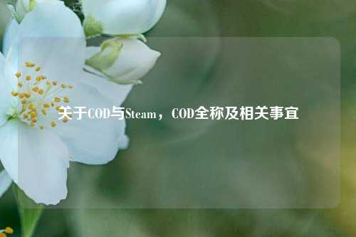 关于COD与Steam，COD全称及相关事宜