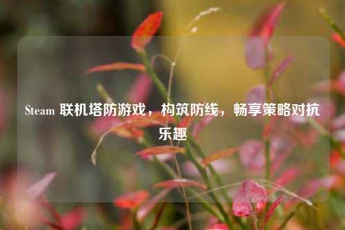 Steam 联机塔防游戏，构筑防线，畅享策略对抗乐趣