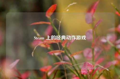 Steam 上的经典动作游戏