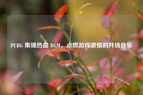 PUBG 集锦热血 BGM,点燃游戏激情的开场音乐