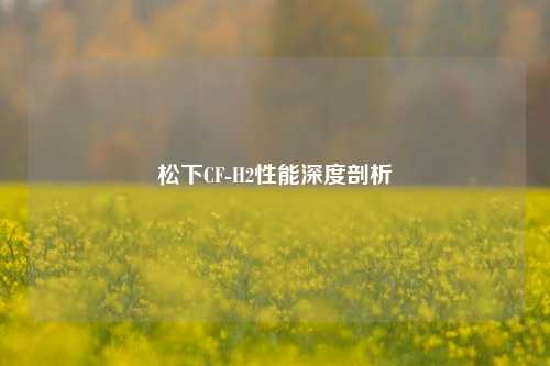 松下CF-H2性能深度剖析