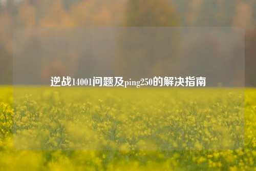 逆战14001问题及ping250的解决指南