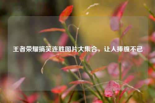 王者荣耀搞笑连胜图片大集合,让人捧腹不已
