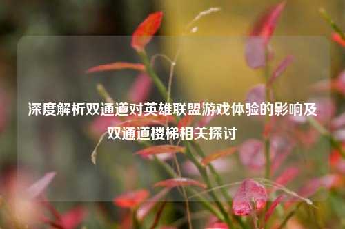 深度解析双通道对英雄联盟游戏体验的影响及双通道楼梯相关探讨
