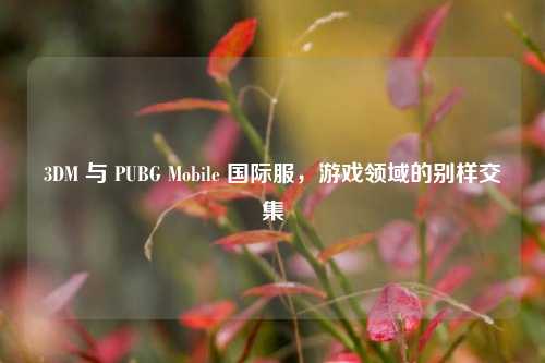 3DM 与 PUBG Mobile 国际服，游戏领域的别样交集