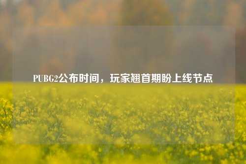 PUBG2公布时间，玩家翘首期盼上线节点