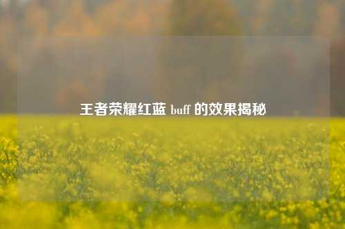 王者荣耀红蓝 buff 的效果揭秘