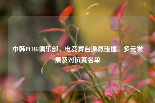 中韩PUBG俱乐部，电竞舞台激烈碰撞、多元发展及对抗赛名单