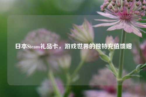 日本Steam礼品卡，游戏世界的独特充值馈赠
