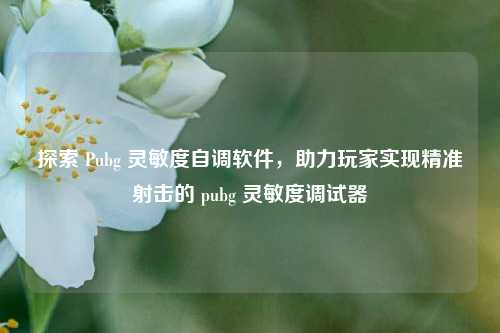 探索 Pubg 灵敏度自调软件,助力玩家实现精准射击的 pubg 灵敏度调试器
