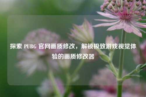 探索 PUBG 官网画质修改，解锁极致游戏视觉体验的画质修改器