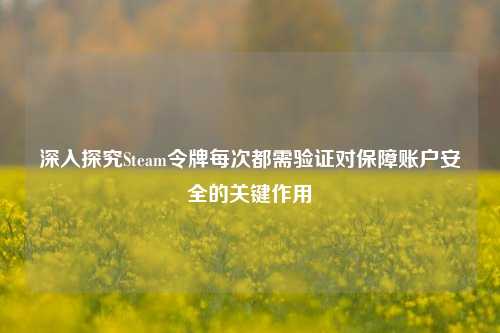 深入探究Steam令牌每次都需验证对保障账户安全的关键作用