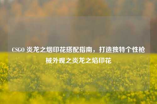 CSGO 炎龙之烟印花搭配指南，打造独特个性枪械外观之炎龙之焰印花
