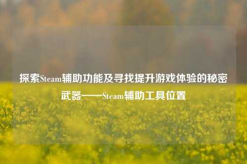 探索Steam辅助功能及寻找提升游戏体验的秘密武器——Steam辅助工具位置