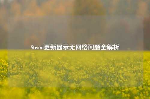 Steam更新显示无网络问题全解析