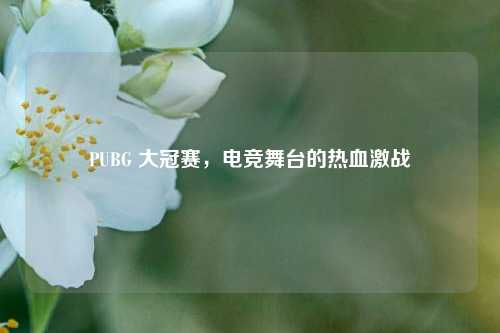PUBG 大冠赛，电竞舞台的热血激战