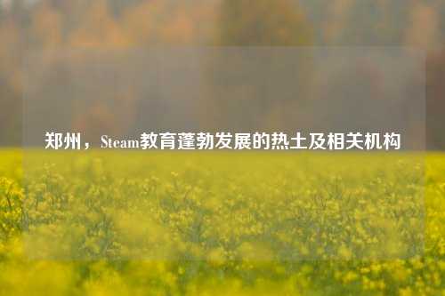郑州,Steam教育蓬勃发展的热土及相关机构