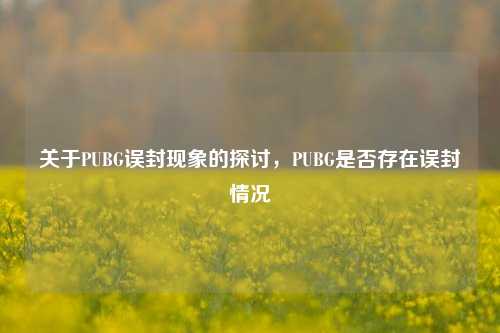 关于PUBG误封现象的探讨,PUBG是否存在误封情况