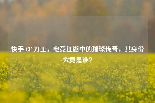 快手 CF 刀王，电竞江湖中的璀璨传奇，其身份究竟是谁？