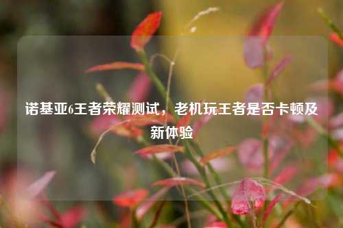 诺基亚6王者荣耀测试，老机玩王者是否卡顿及新体验