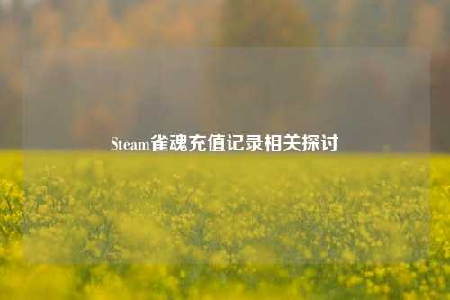 Steam雀魂充值记录相关探讨