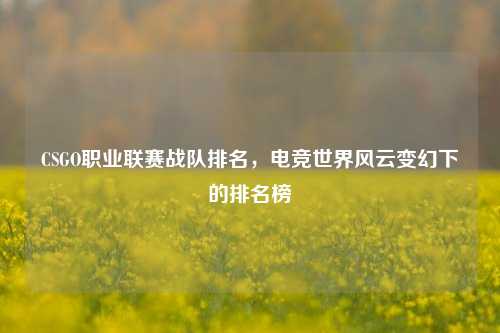 CSGO职业联赛战队排名，电竞世界风云变幻下的排名榜