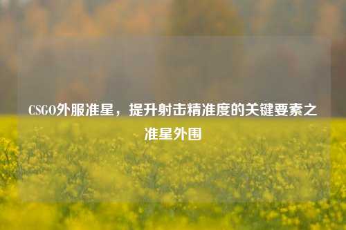 CSGO外服准星，提升射击精准度的关键要素之准星外围