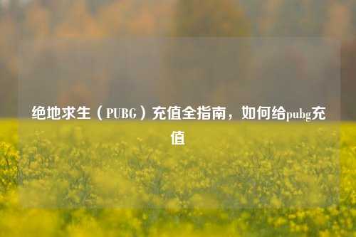 绝地求生（PUBG）充值全指南，如何给pubg充值
