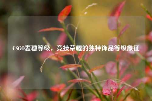 CSGO麦穗等级，竞技荣耀的独特饰品等级象征