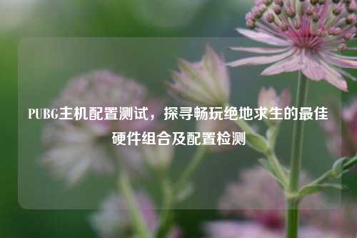 PUBG主机配置测试,探寻畅玩绝地求生的最佳硬件组合及配置检测