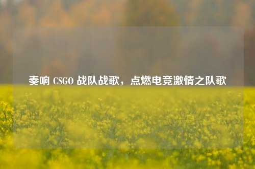 奏响 CSGO 战队战歌，点燃电竞激情之队歌