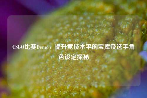 CSGO比赛Demo，提升竞技水平的宝库及选手角色设定探秘