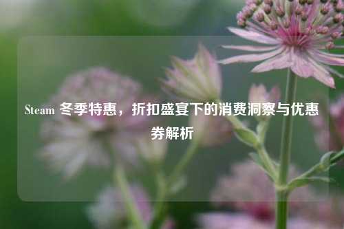 Steam 冬季特惠，折扣盛宴下的消费洞察与优惠券解析