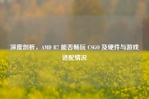 深度剖析，AMD R7 能否畅玩 CSGO 及硬件与游戏适配情况