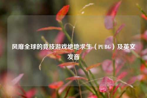 风靡全球的竞技游戏绝地求生(PUBG)及英文发音