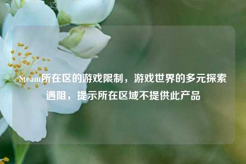 Steam所在区的游戏限制,游戏世界的多元探索遇阻,提示所在区域不提供此产品