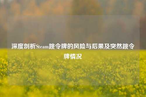 深度剖析Steam跳令牌的风险与后果及突然跳令牌情况