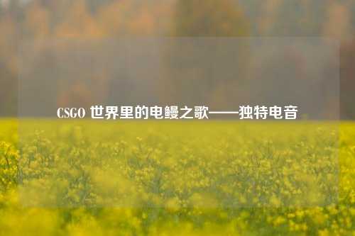 CSGO 世界里的电鳗之歌——独特电音