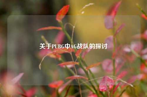 关于PUBG中AG战队的探讨