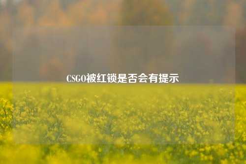 CSGO被红锁是否会有提示